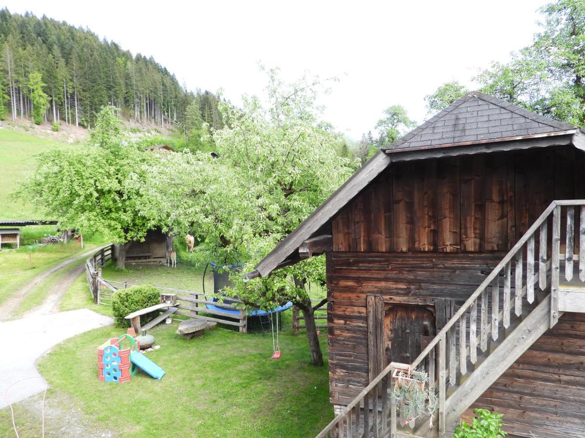 Ferienwohnung Bio-Bauernhof Einberghof Pfarrwerfen Exterior foto