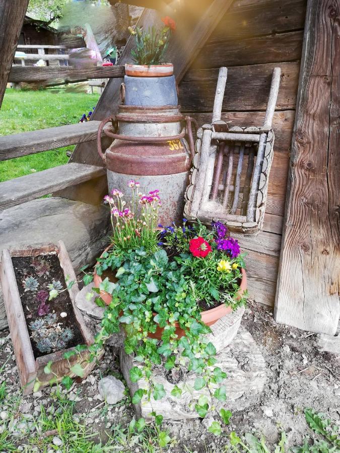 Ferienwohnung Bio-Bauernhof Einberghof Pfarrwerfen Exterior foto