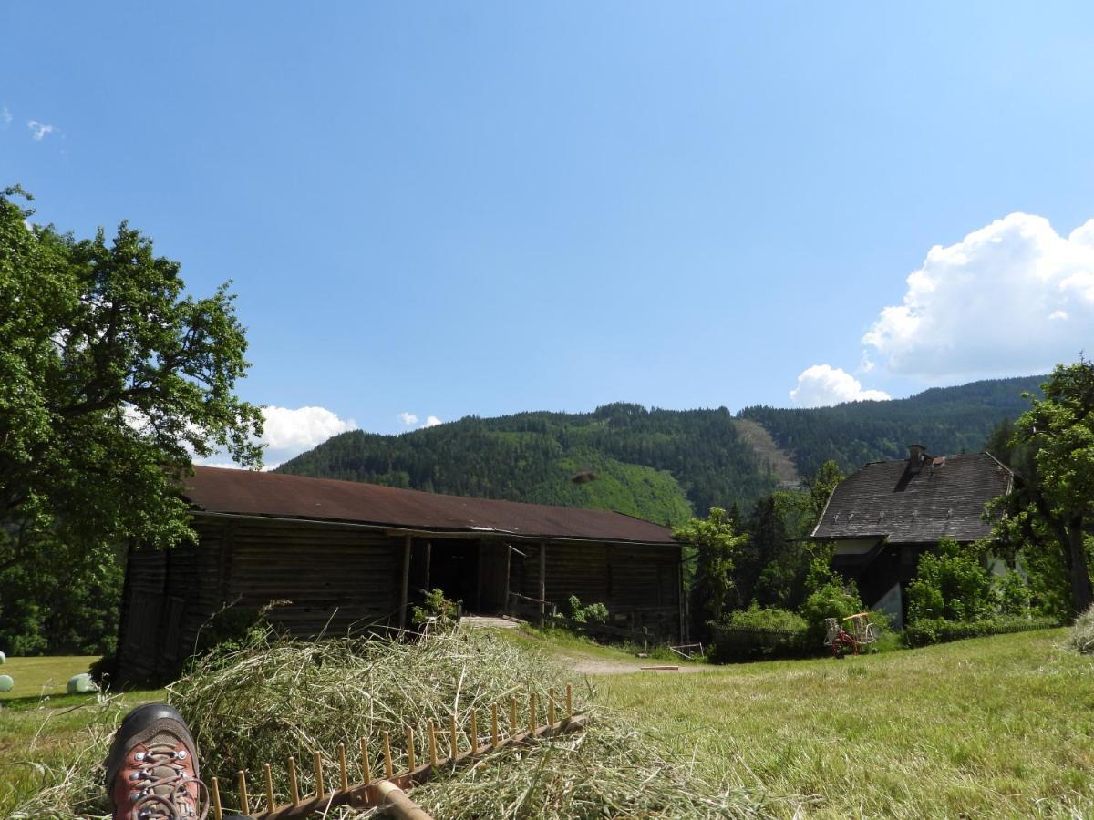 Ferienwohnung Bio-Bauernhof Einberghof Pfarrwerfen Exterior foto
