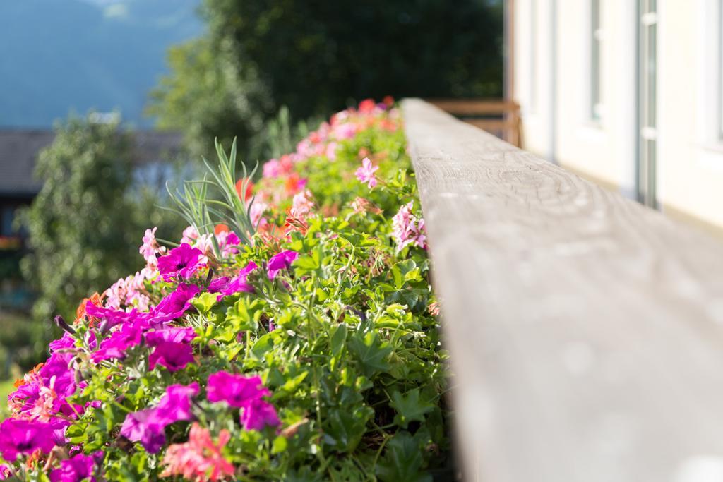 Ferienwohnung Bio-Bauernhof Einberghof Pfarrwerfen Exterior foto