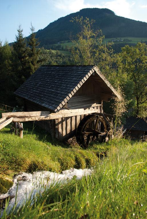 Ferienwohnung Bio-Bauernhof Einberghof Pfarrwerfen Exterior foto