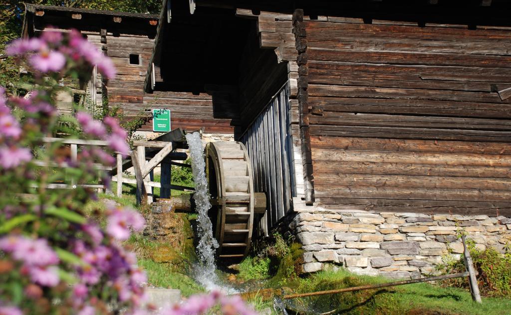Ferienwohnung Bio-Bauernhof Einberghof Pfarrwerfen Exterior foto