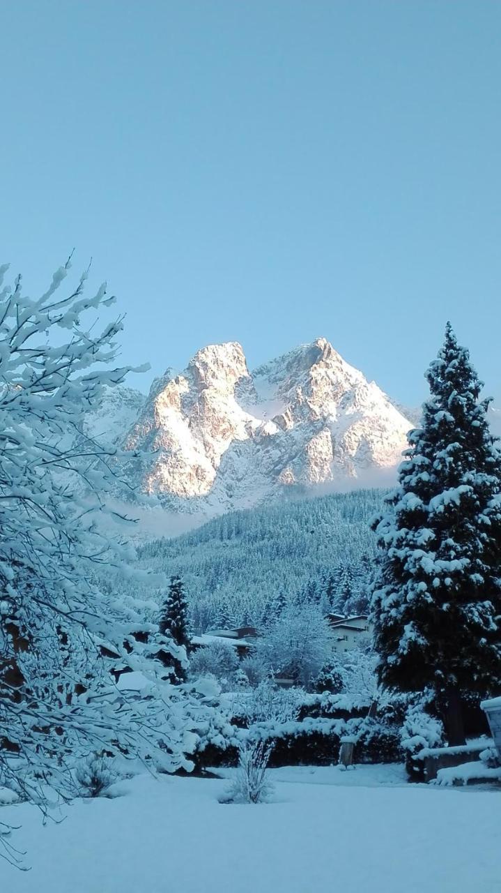 Ferienwohnung Bio-Bauernhof Einberghof Pfarrwerfen Exterior foto